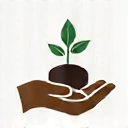 Hands holding a plant, symbolizing growth and support